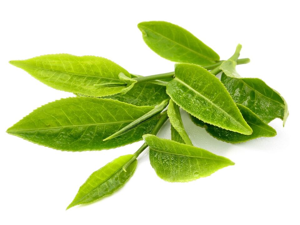 zöld tea Keto Matcha-ben